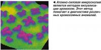 Атомно-силовая микроскопия является методом визуализации хромосом