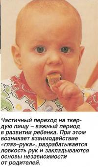 Частичный переход на твердую пищу - важный период в развитии ребенка