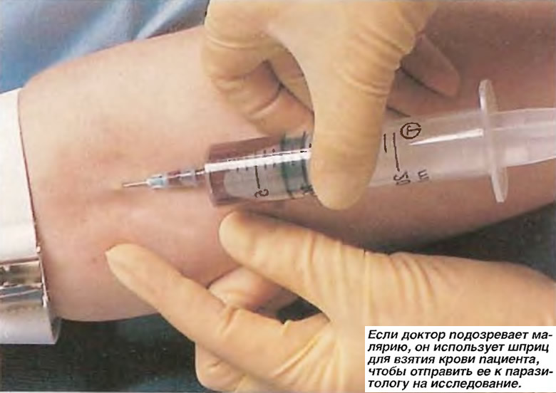 Доктор использует шприц для взятия крови пациента