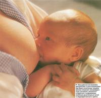 Грудное молоко помогает новорожденному развивать иммунитет и бороться с инфекциями