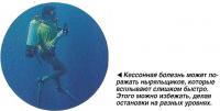 Кессонная болезнь может поражать ныряльщиков