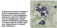 Количество белых кровяных клеток выявляется в ходе дифференциального подсчета лейкоцитов