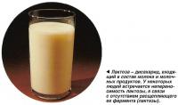 Лактоза - дисахарид, входящий в состав молока и молочных продуктов
