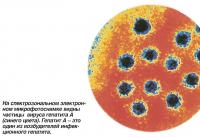 На электронном микрофотоснимке видны частицы вируса гепатита А