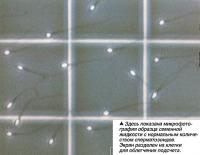 Ообразец семенной жидкости с нормальным количеством сперматозоидов