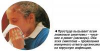 Простуда вызывает всем знакомые симптомы - чихание и ринит