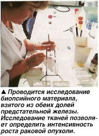 Проводится исследование биопсийного материала