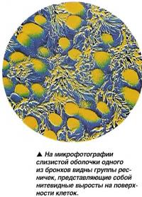 Реснички