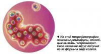 Ротавирусы, способные вызвать гастроэнтерит