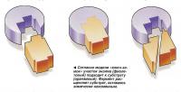 Согласно модели «ключ-замок» участок энзима (фиолетовый) подходит к субстрату (оранжевый)