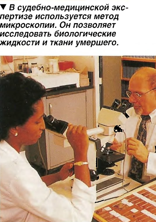 В судебно-медицинской экспертизе используется метод микроскопии