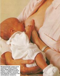Вскармливание грудью устанавливает тесную взаимосвязь между матерью и ребенком