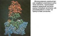 Вверху (красный) антиген, внизу (голубое) антитело