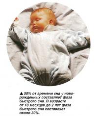 50% от времени сна у новорожденных составляет фаза быстрого сна