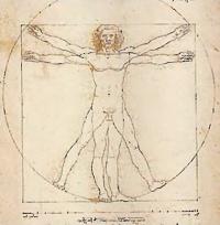 Анатомия - это изучение формы и строения тела человека. Происходит от греческого «рассекать»