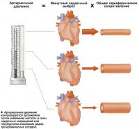 Артериальное давление контролируется организмом путем изменения частоты и силы сердечных сокращений
