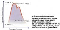 Артериальное давление в норме изменяется во время каждого сердечного цикла от 80 до 120 мм рт. ст.