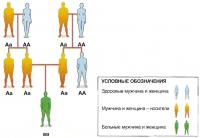 Аутосомно-рецессивные заболевания