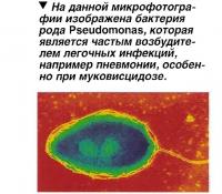 Бактерия рода Pseudomonas, которая является частым возбудителем легочных инфекций