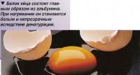 Белок яйца состоит главным образом из альбумина