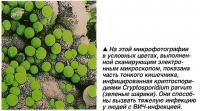 Открыть статью