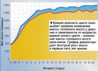 График демонстрирует быстрый рост мозга в первые пять лет жизни