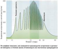 Изменяемость производства эстрогенов в течение жизни