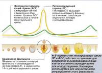 Кломифен