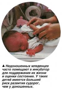 Недоношенных младенцев часто помещают в инкубатор для поддержания их жизни и оценки состояния