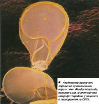 Необходимо исключить заражение протозойными паразитами Giardia intestinalis