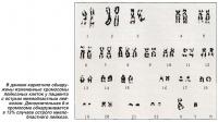 Обнаружены измененные хромосомы лейкозных клеток у пациента с острым миелобластным лейкозом