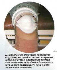 Открыть статью