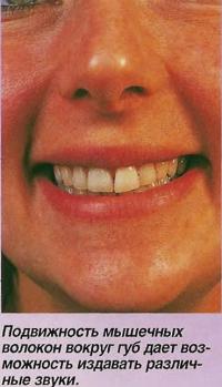 Подвижность мышечных волокон вокруг губ