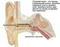 Слуховой канал