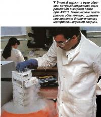 Ученый держит в руке образец, который сохранялся замороженным в жидком азоте при -196°С